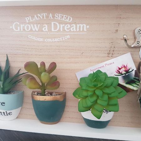 Apartment Pitaya 普拉亚戴尔雷安格莱斯 外观 照片